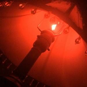 Meet your Posher, Marcie